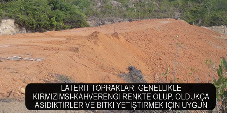 laterit toprak Laterit toprak karışımının şişme özellikleri