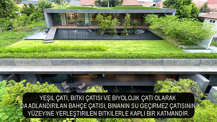 Yeşil çatı, bitki çatısı ve biyolojik çatı olarak da adlandırılan bahçe çatısı, binanın su geçirmez çatısının yüzeyine yerleştirilen bitkilerle kaplı bir katmandır.