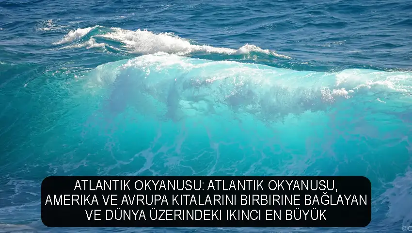 Atlantik Okyanusu